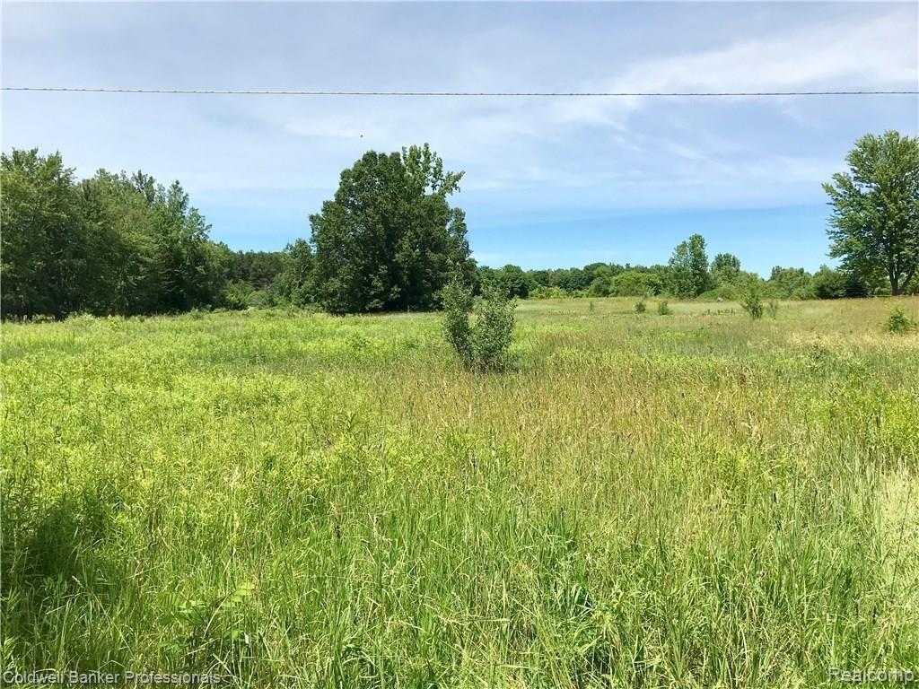 0 Lake Road Otisville, MI 48463 - Photo 2 of 12