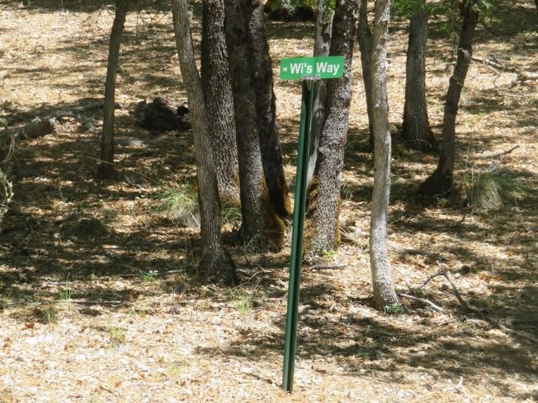 0 Bowerman Ridge Road Trinity Center, CA 96091 - Photo 3 of 4