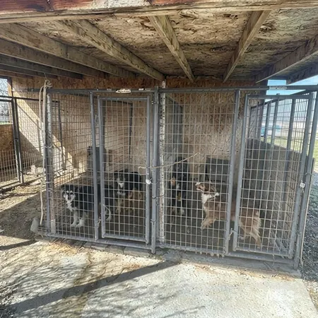 $650,000 | 103 West 420 North, Shoshone, ID 83352