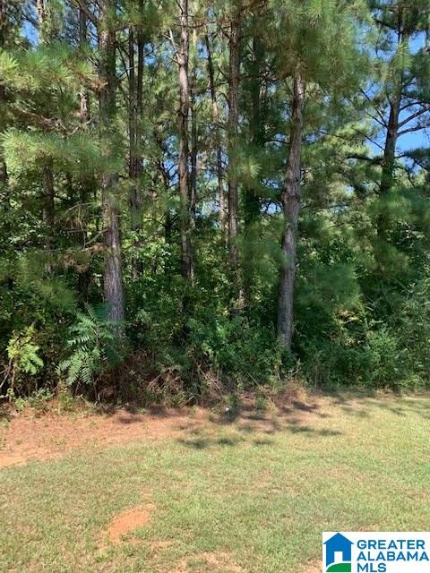 Lower Mill Road, Unit 1 Odenville, AL 35120 - Photo 1 of 2