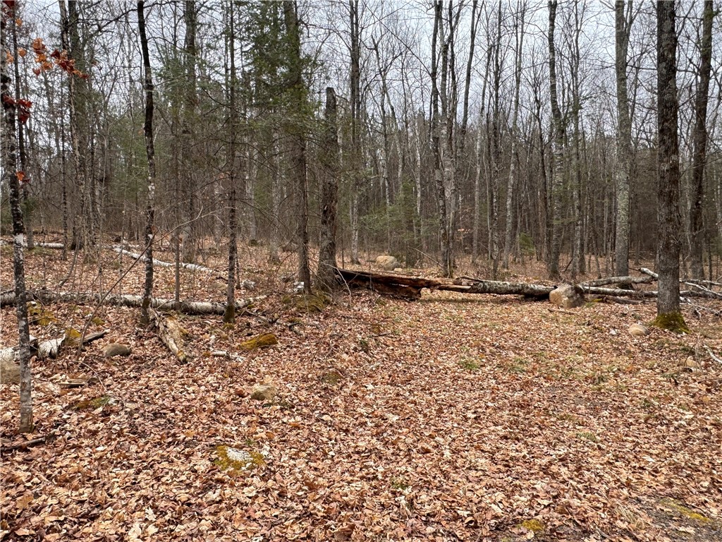Lot 3 North Scheers Road Hayward, WI 54843 - Photo 13 of 17