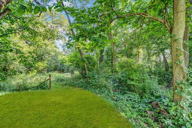 a view of a yard with a tree