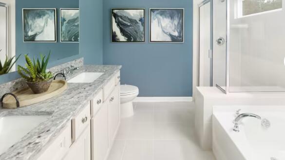 2928 Gin Bay Road Johns Island, SC 29455 - Photo 7 of 14 Owner's Bathroom