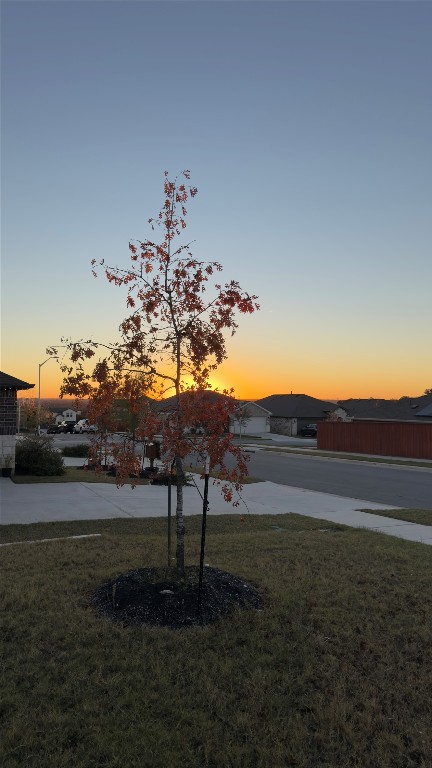 2512 Hackamore Drive Leander, TX 78641 - Photo 14 of 35 a view of a yard