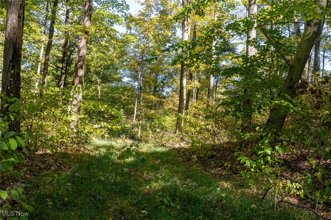 3245 Dixon Ridge Road Lowell, OH 45744 - Photo 28 of 46