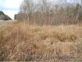 2050 Calloway Road Raeford, NC 28376 - Photo 3 of 4 a view of a yard