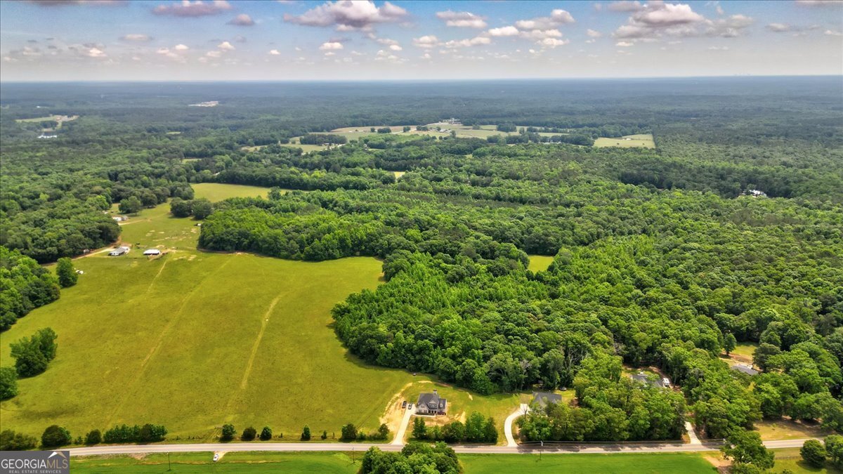 48.04-acres Caldwell Road Zebulon, GA 30295 - Photo 12 of 23 an aerial view of a residential houses covered in trees