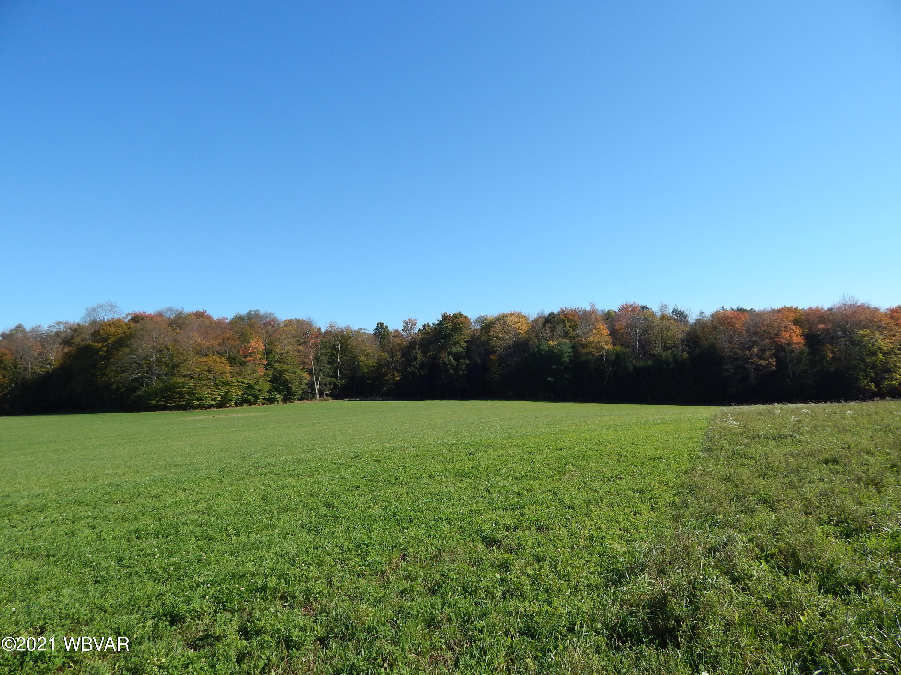 0 Cogan House Road, Unit LOT 1 Trout Run, PA 17771 - Photo 1 of 7 Gallery Image 1