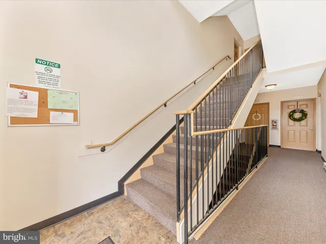 a view of a big yard with plants and large trees