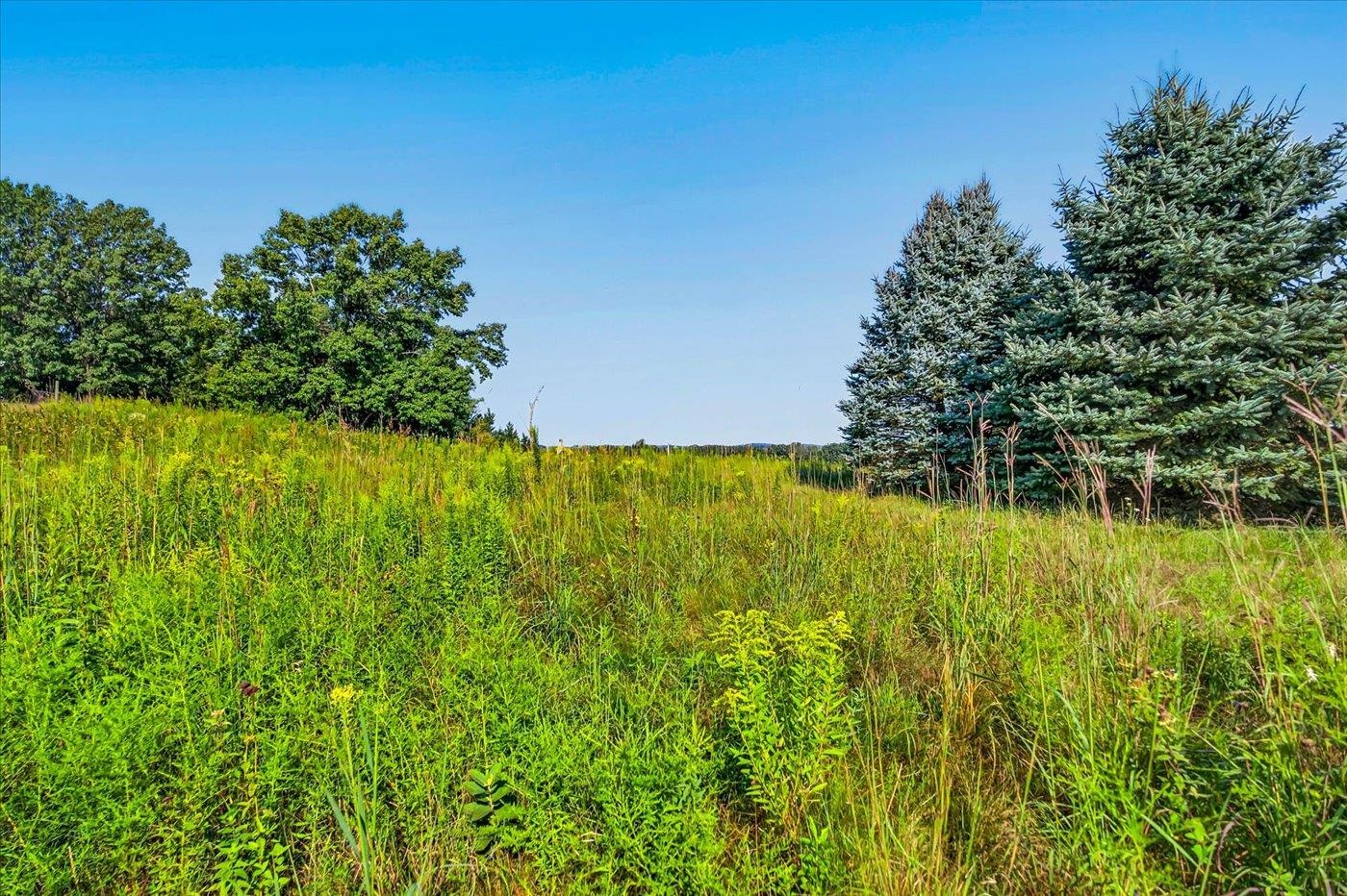 W2579 Zurfluh Road Albany, WI 53502 - Photo 51 of 54 Gallery Image 51