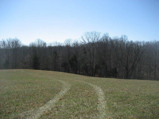 7890 Timber Creek Road Lawrenceburg, KY 40342 - Photo 4 of 23 Photo 4