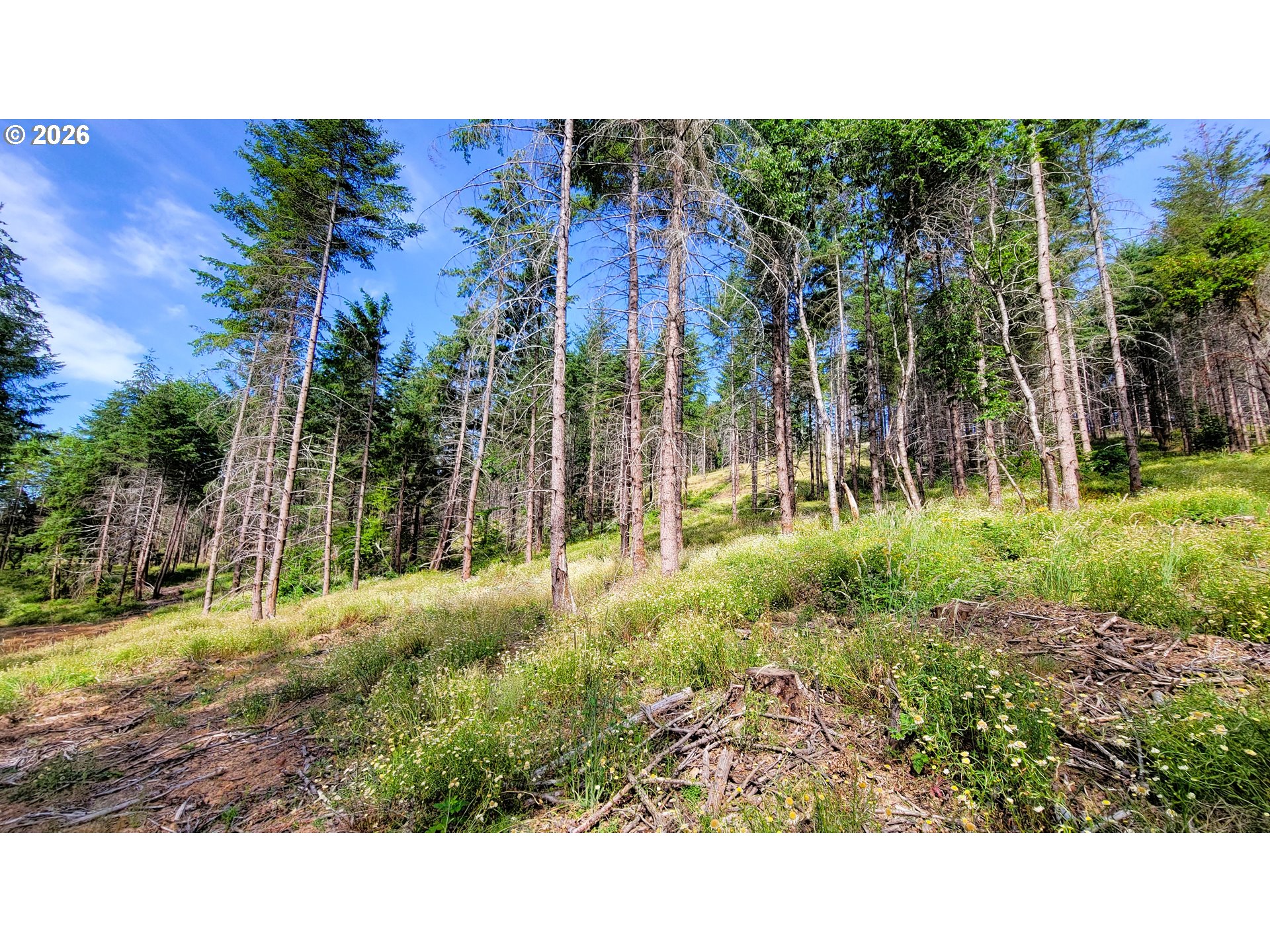 Branch Road, Unit 108 Eugene, OR 97402 - Photo 9 of 18