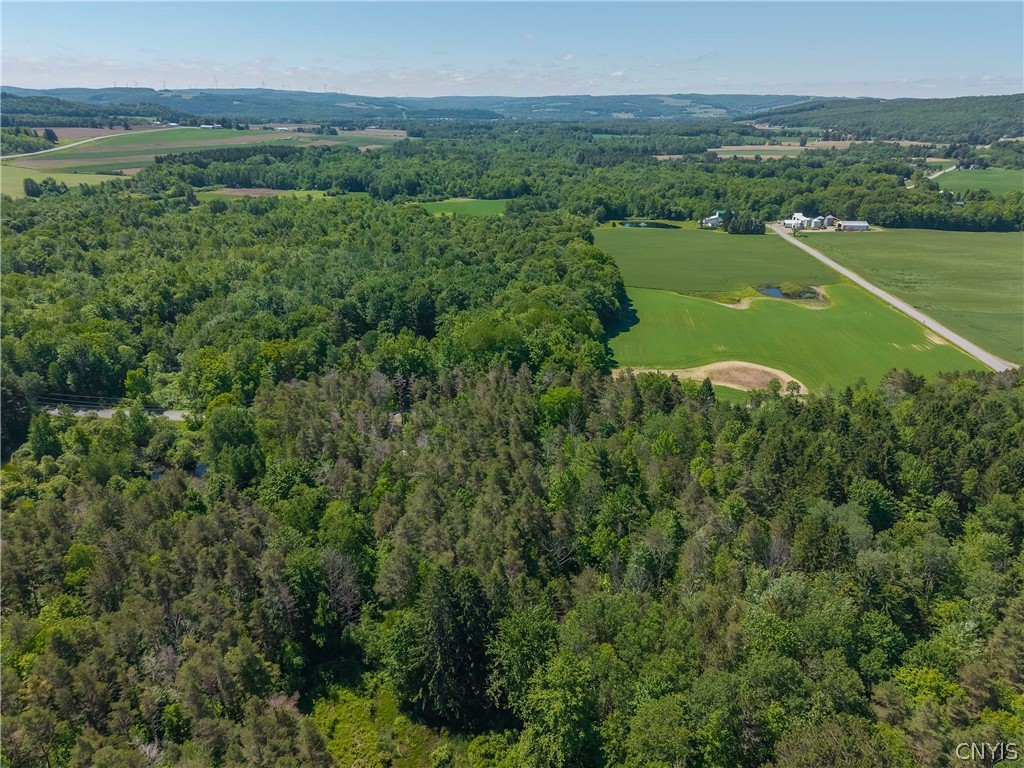 8804 Becker Road Springwater, NY 14572 - Photo 32 of 34
