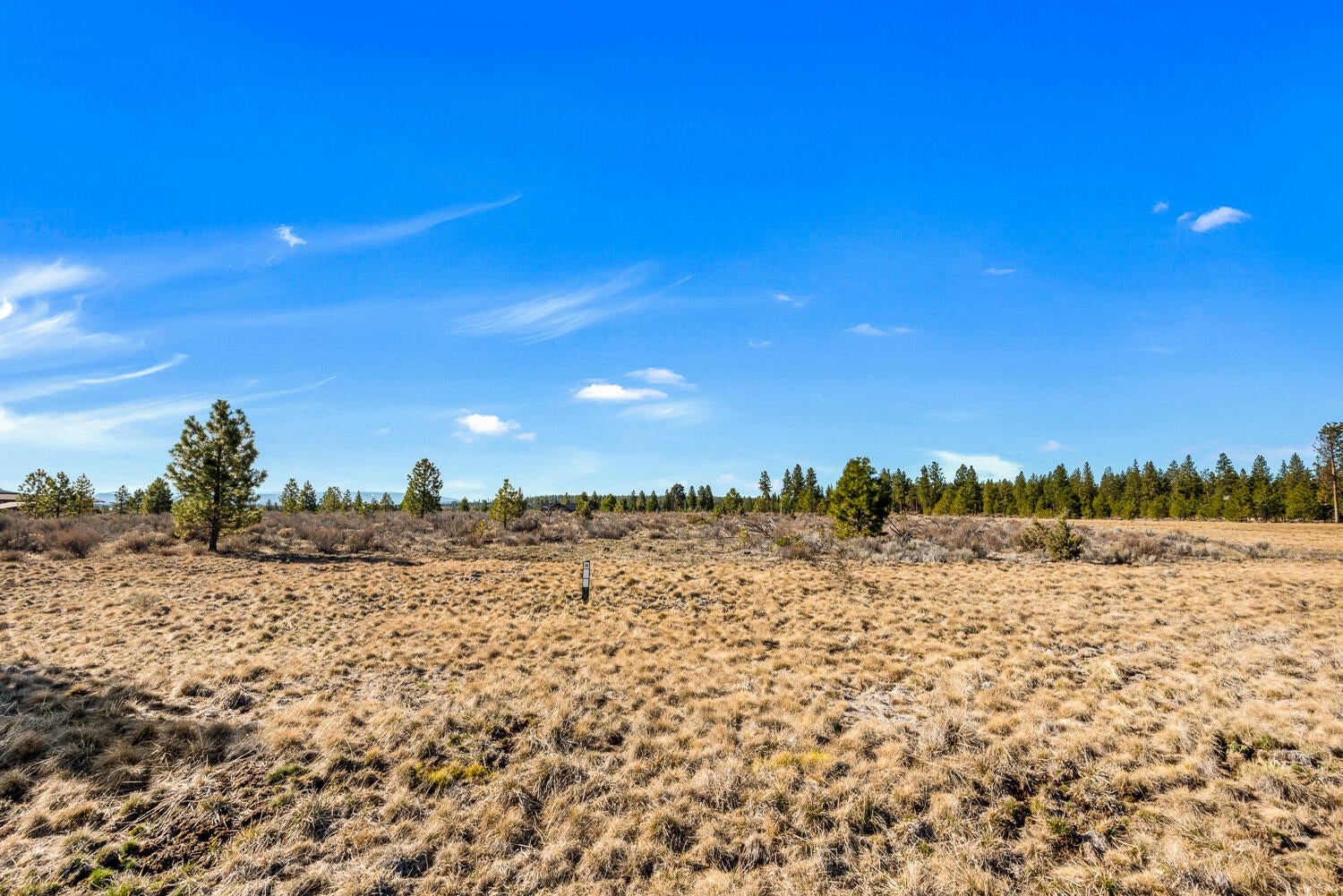 18945 Macalpine Loop Bend, OR 97702 - Photo 11 of 25 OReilly_20240402_2_295856_72ppi