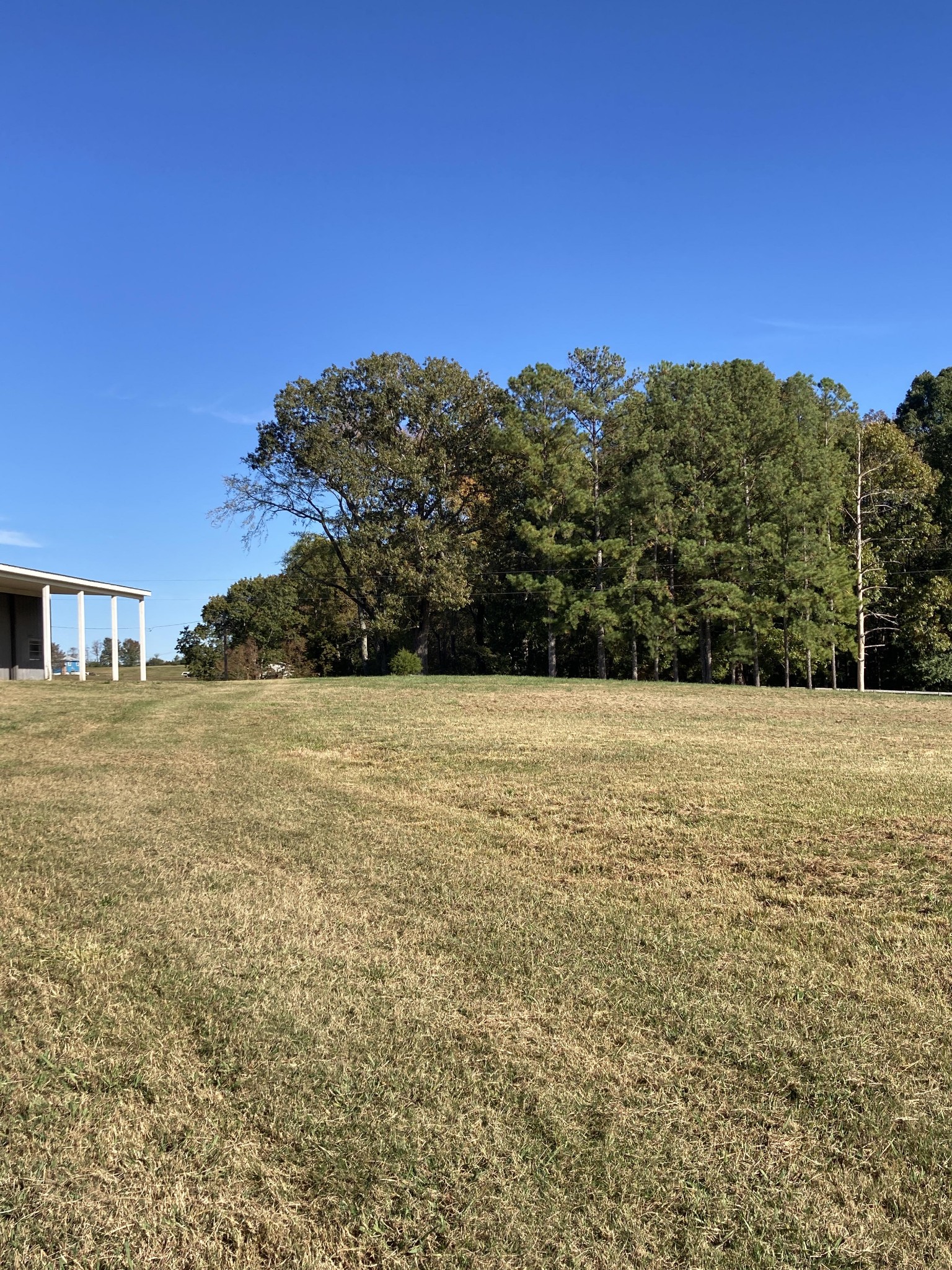 0 Second Creek Road Five Points, TN 38457 - Photo 5 of 17 a view of outdoor space and yard