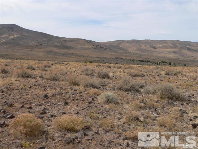 0 Jaybird Road, Unit 3 Reno, NV 89510 - Photo 4 of 9 a view of a dry field with mountains in the background