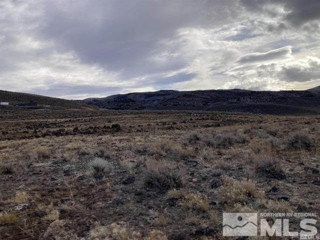 0 Jaybird Road, Unit 3 Reno, NV 89510 - Photo 5 of 9 a view of a dry yard with trees