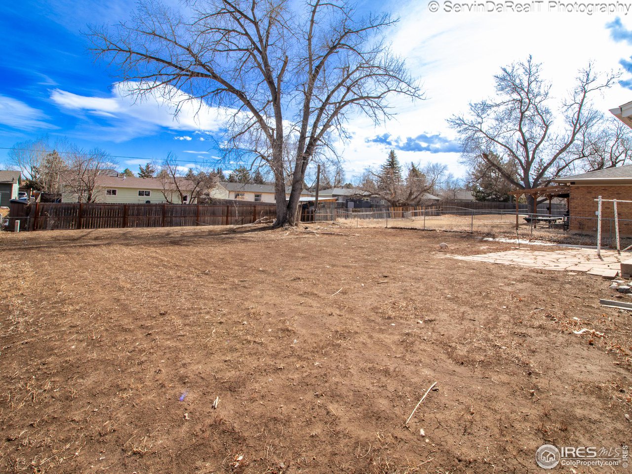 816 Gallup Road Fort Collins, CO 80521 - Photo 3 of 16 Yard View