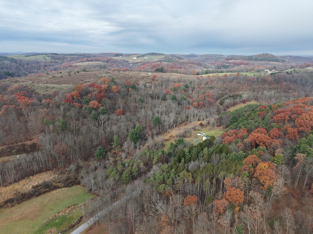 0 Reed Road Mayport, PA 16240 - Photo 10 of 15