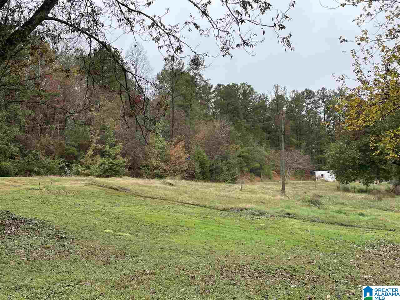 245 Highway 467 Vincent, AL 35178 - Photo 27 of 27
