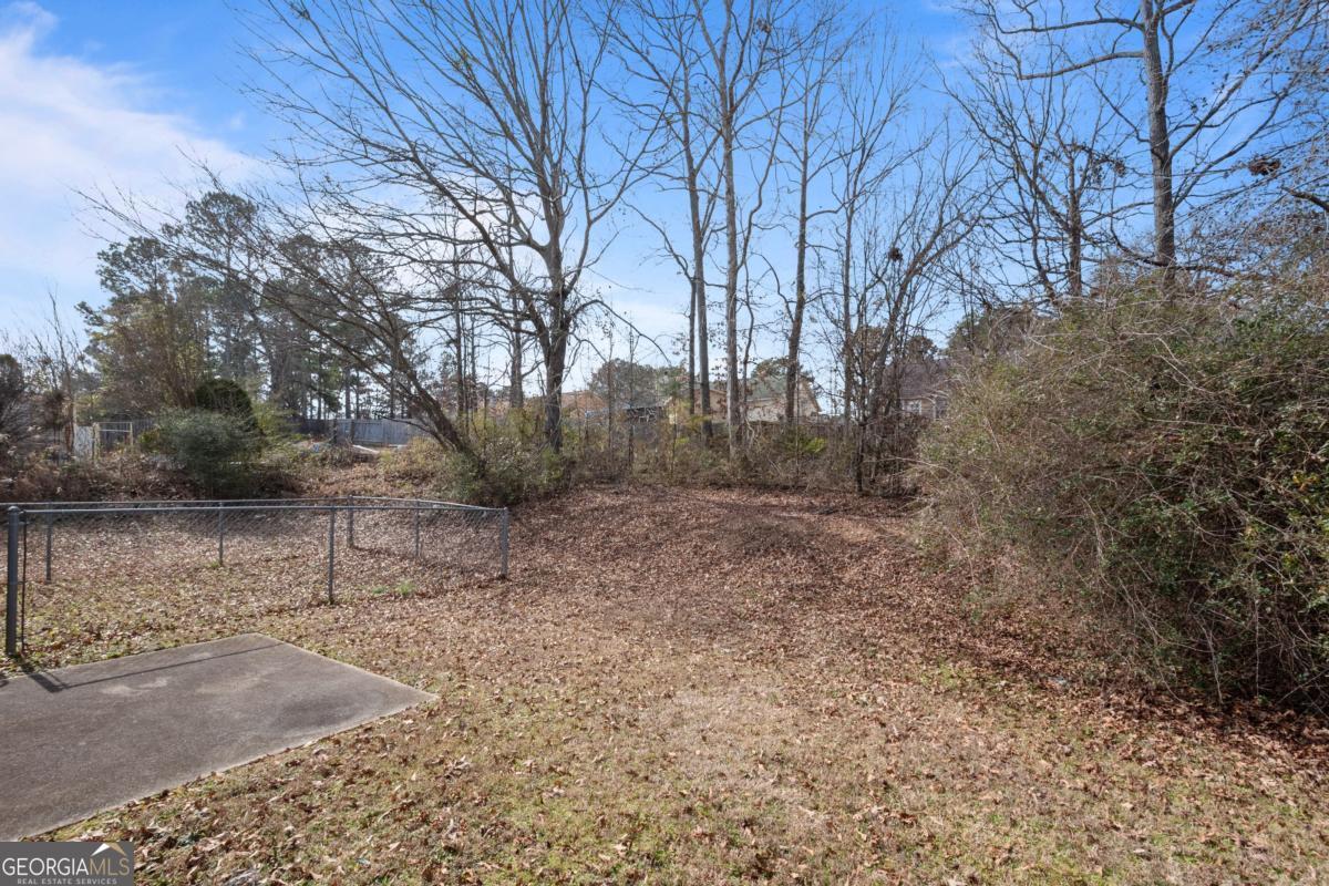 11203 Knotty Pine Place Hampton, GA 30228 - Photo 14 of 16