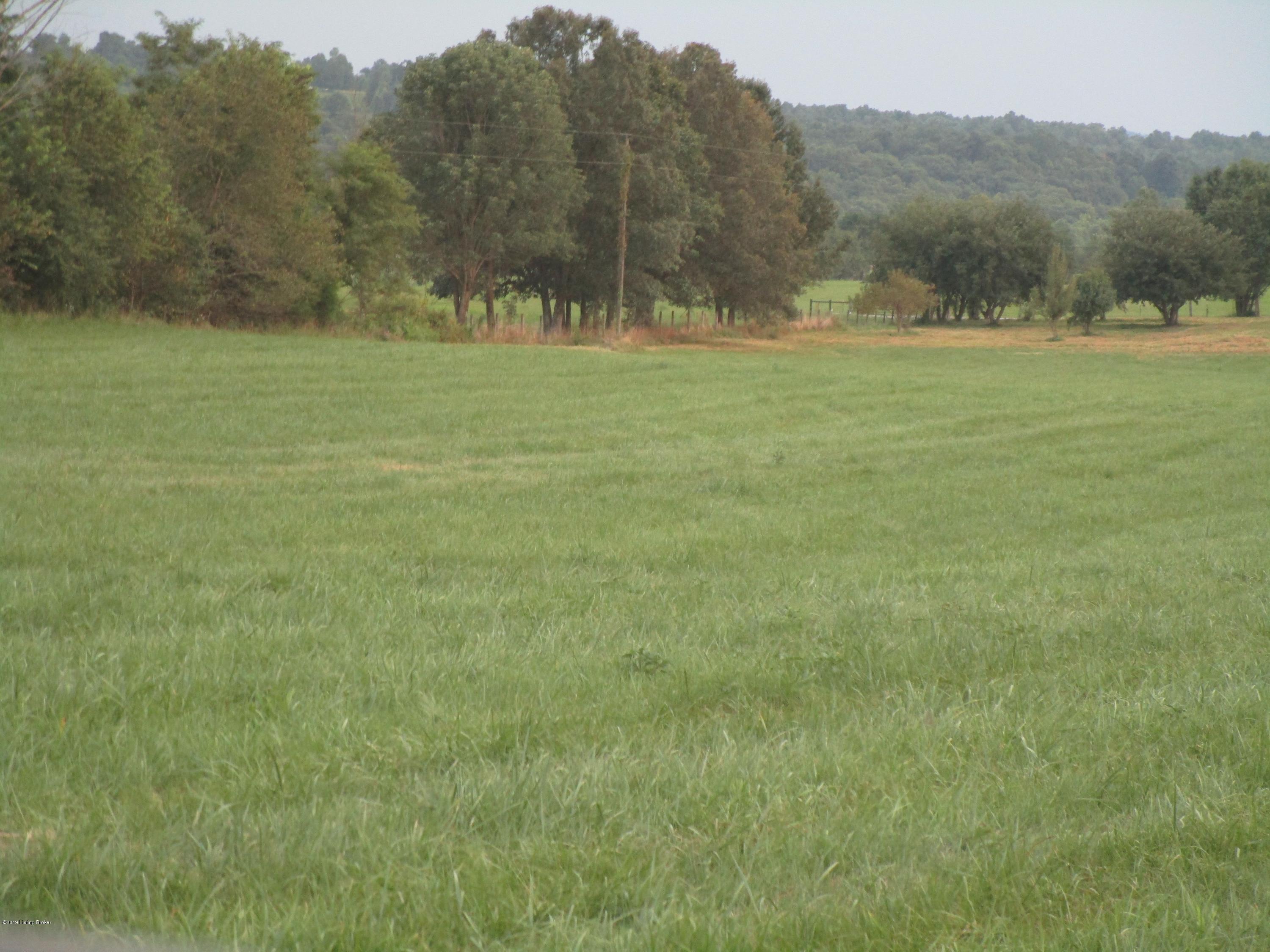 1171 Post-Hopewell Road Caneyville, KY 42721 - Photo 44 of 55 IMG_0201