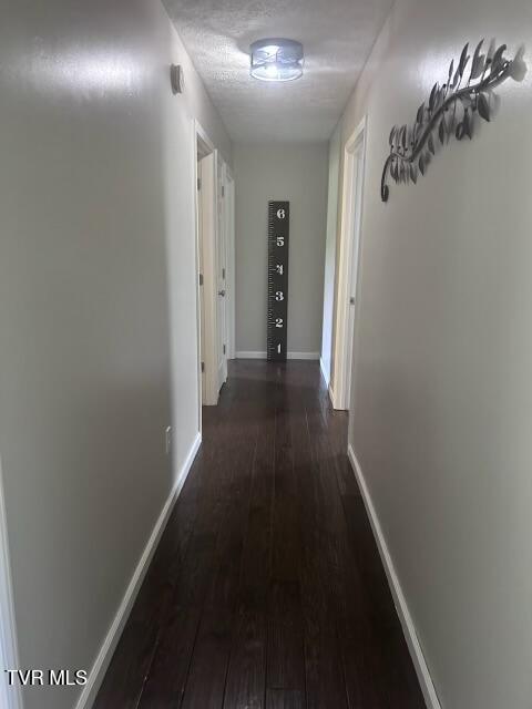 365 Guthries Greene Road Bulls Gap, TN 37711 - Photo 5 of 30 IMG_5685