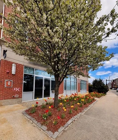 $619,000 | 441 Washington Street, Unit 203, Dedham, MA 02026