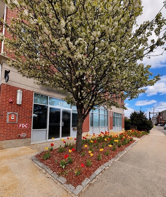 441 Washington Street, Unit 203 Dedham, MA 02026 - Photo 1 of 22