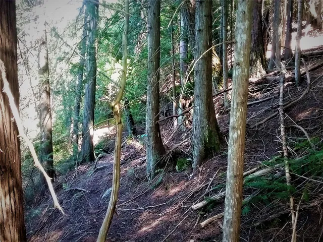 $249,500 | Nka(13-ac) Upper Twin Lakes S Shore, Rathdrum, ID 83858