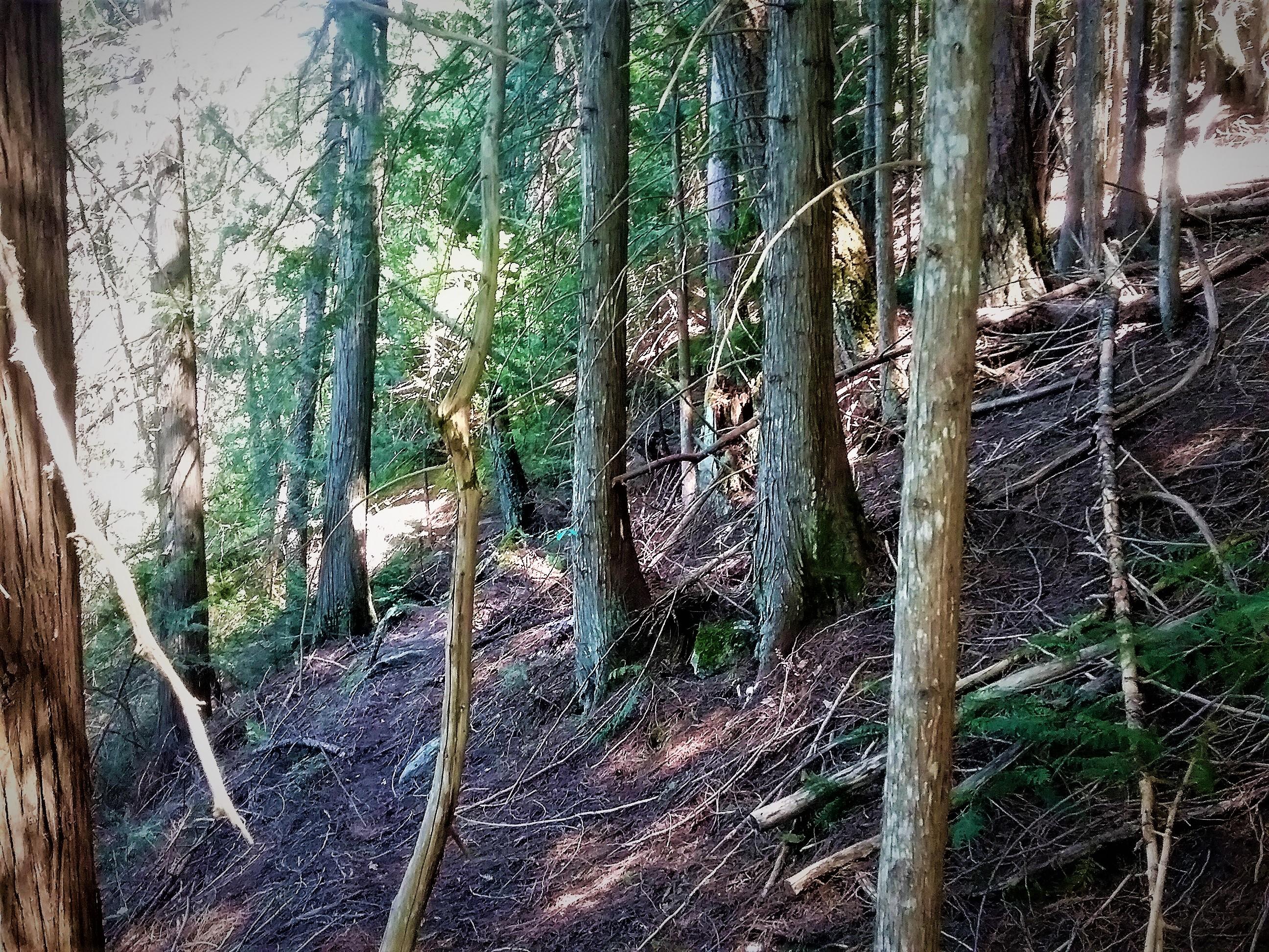 Nka(13-ac) Upper Twin Lakes S Shore Rathdrum, ID 83858 - Photo 12 of 28 Near Term Cash Flow