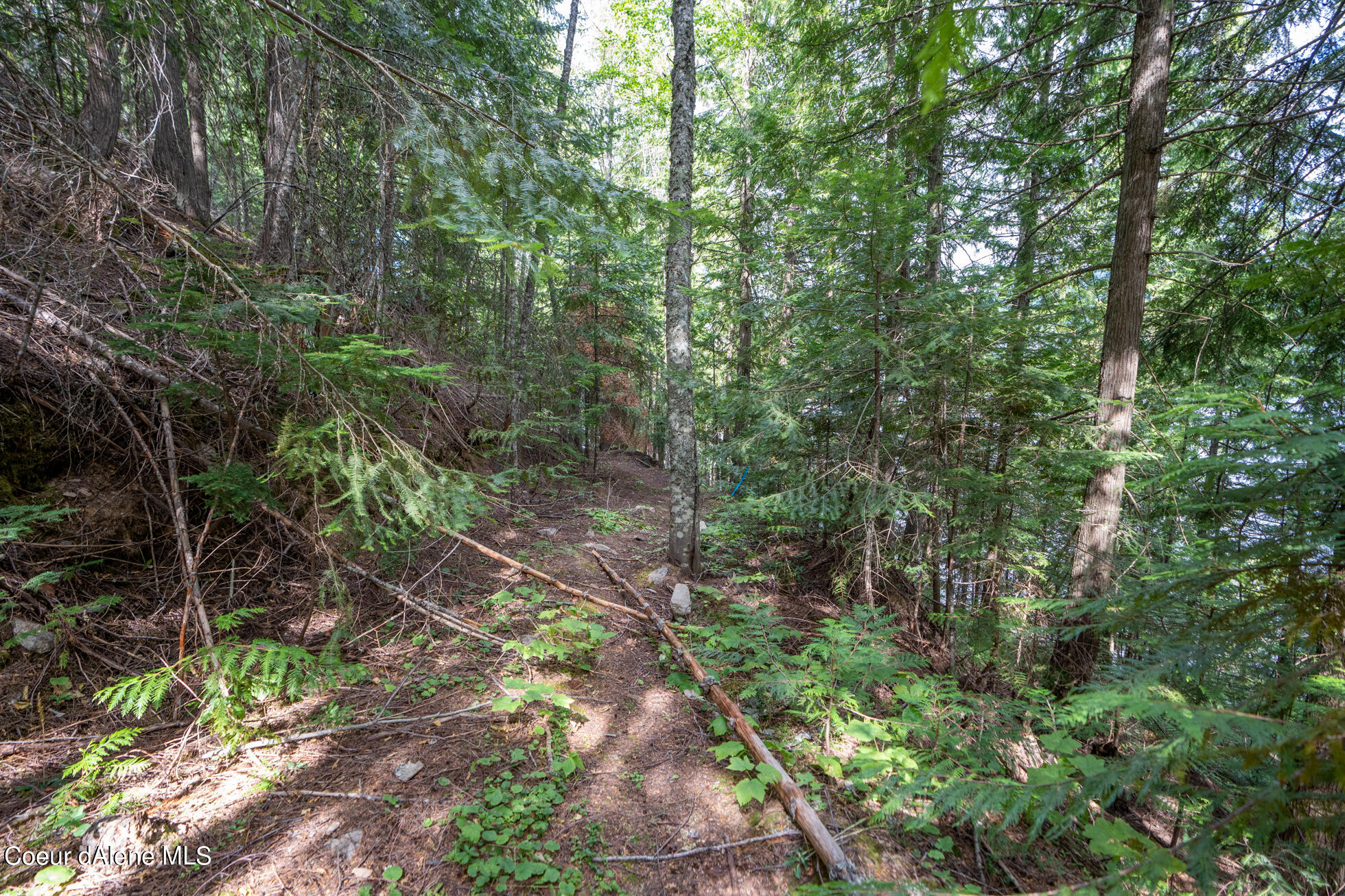 Nka(13-ac) Upper Twin Lakes S Shore Rathdrum, ID 83858 - Photo 24 of 28 Ext 4