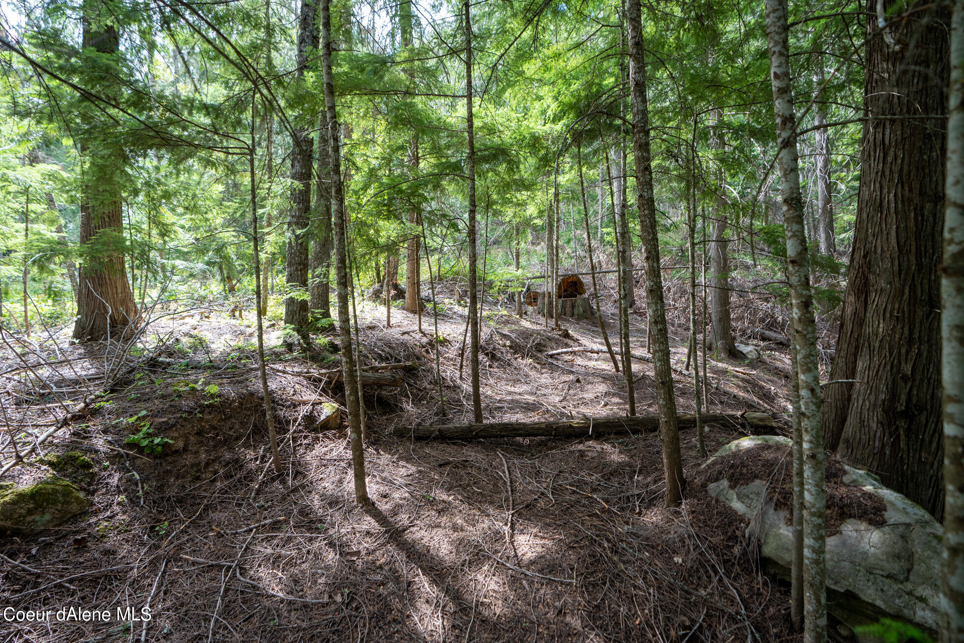 Nka(13-ac) Upper Twin Lakes S Shore Rathdrum, ID 83858 - Photo 26 of 28 Ext 7