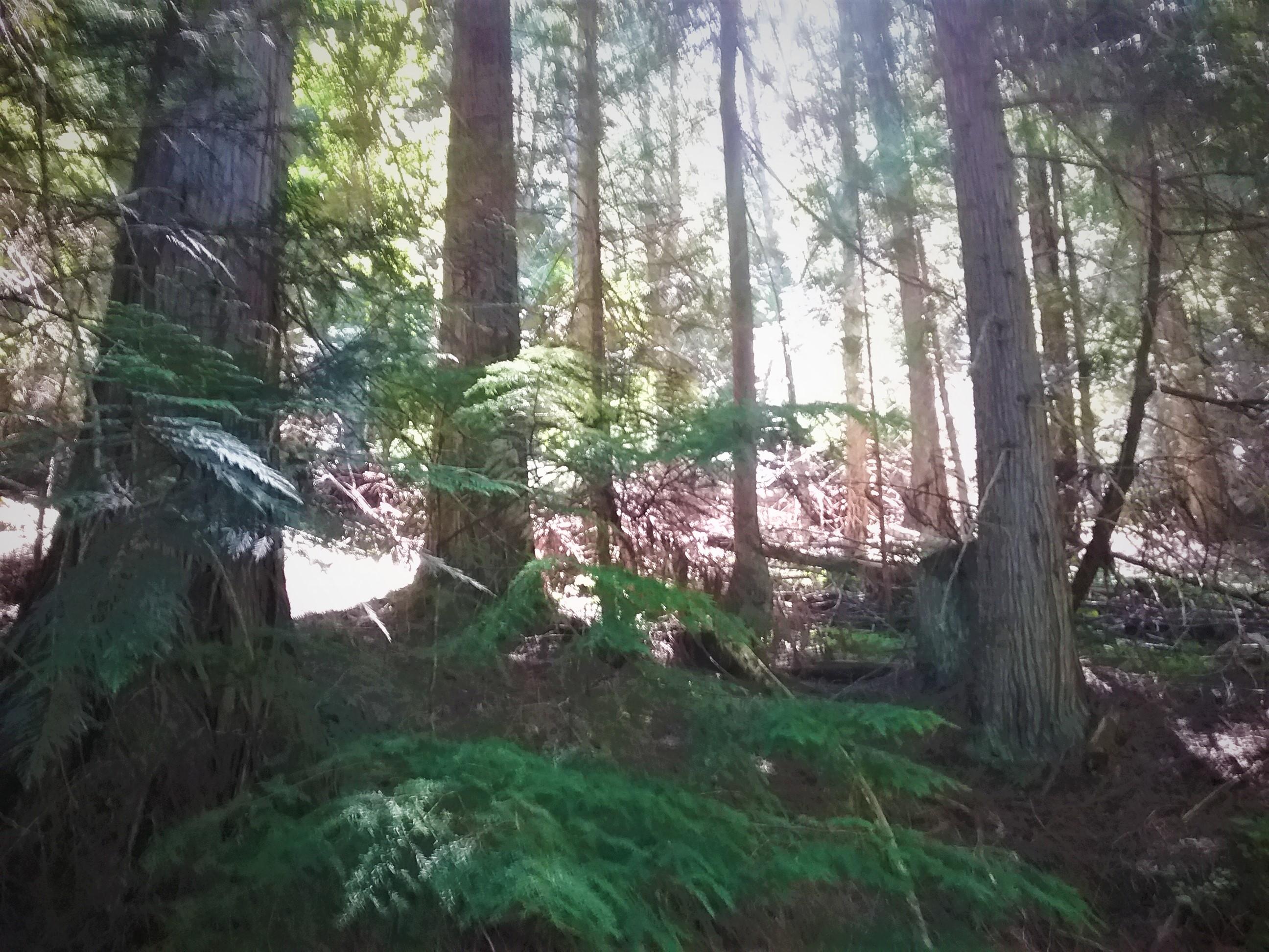 Nka(13-ac) Upper Twin Lakes S Shore Rathdrum, ID 83858 - Photo 10 of 28 Near Term Cash Flow 2