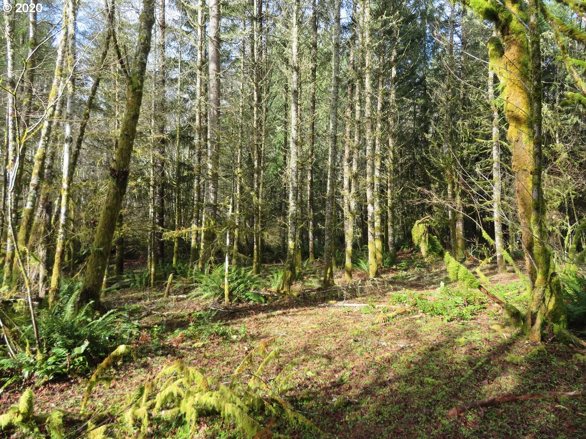 Pleasant Valley Road Chehalis, WA 98532 - Photo 14 of 30