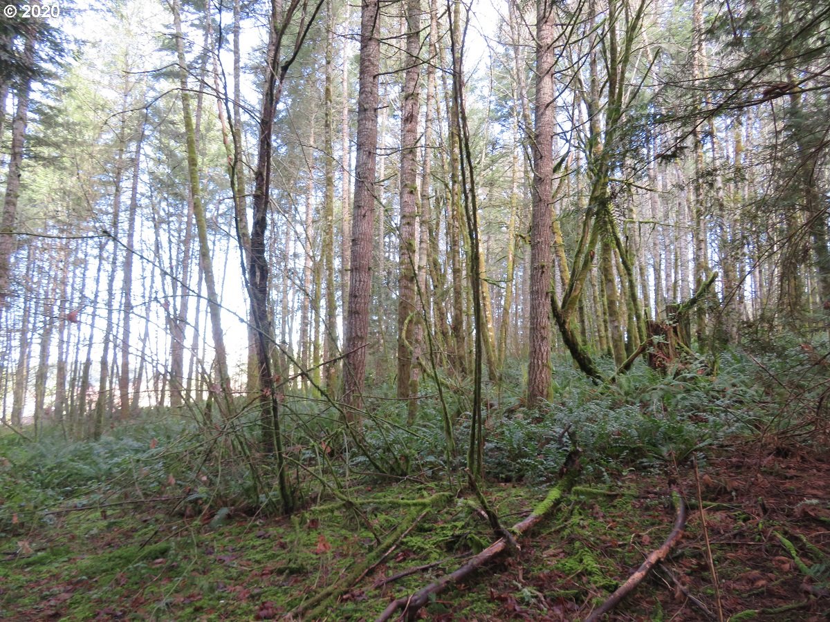 Pleasant Valley Road Chehalis, WA 98532 - Photo 3 of 30