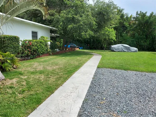 a view of a backyard with potted plants and a large tree