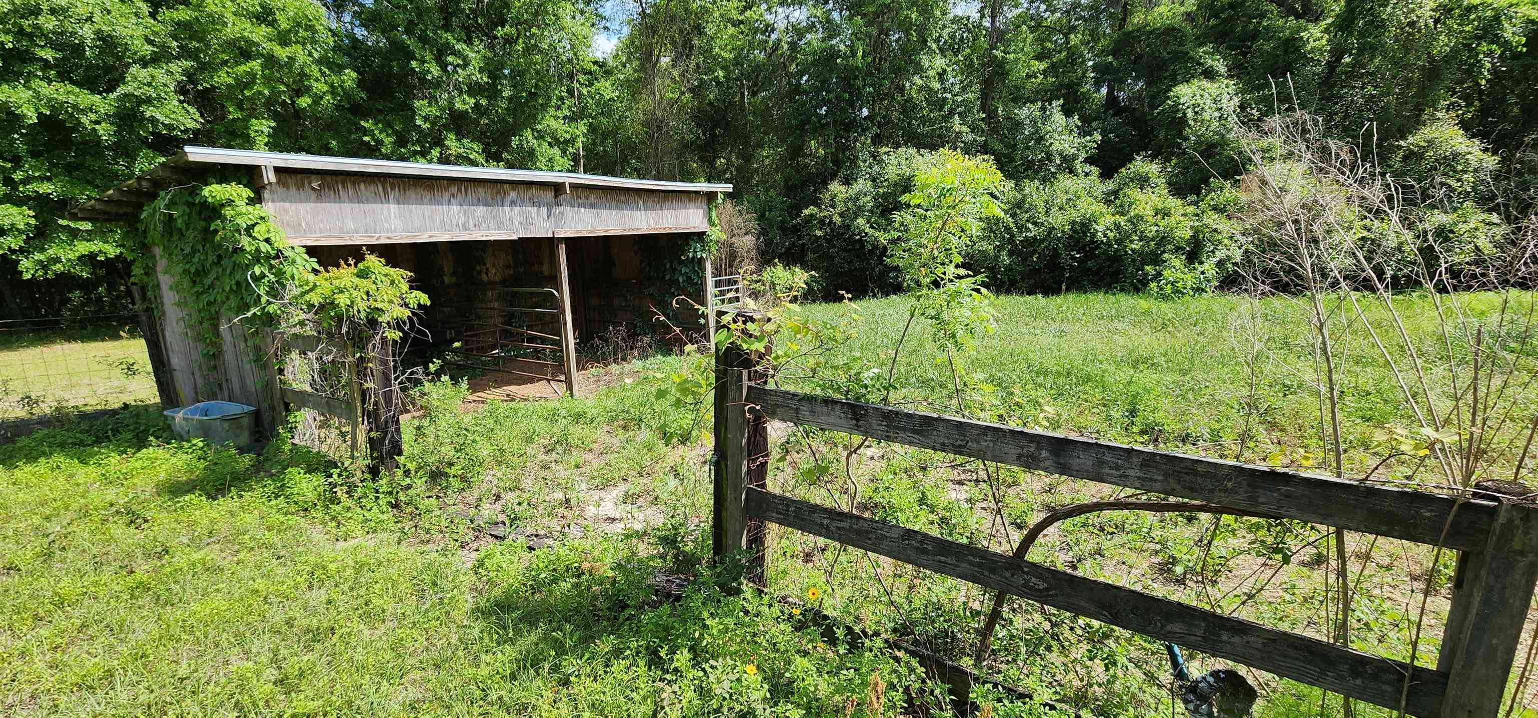 2378 Northeast Bellville Road Pinetta, FL 32350 - Photo 6 of 36 Gallery Image 6
