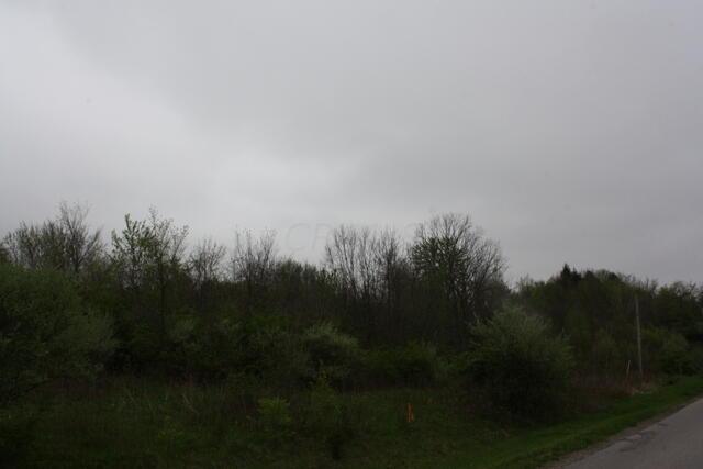 0 Peters Road Ashley, OH 43003 - Photo 3 of 7 3