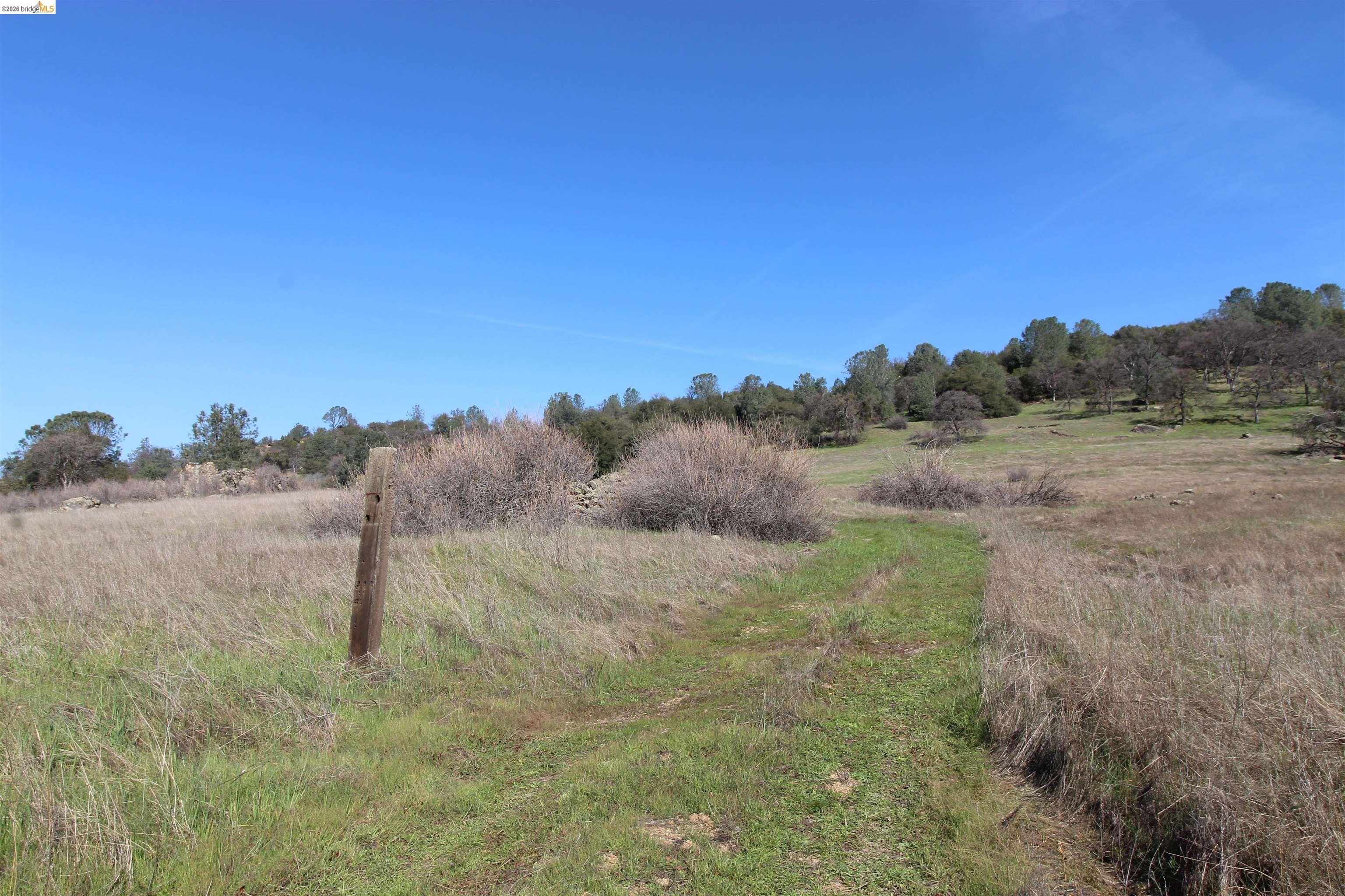 781 Gelding Road Angels Camp, CA 95222 - Photo 7 of 9 Gallery Image 7