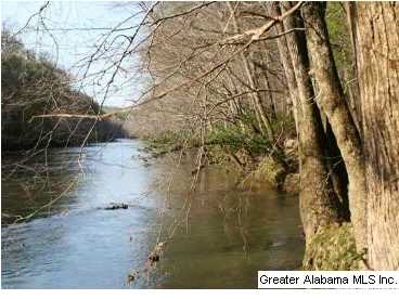 1585 Bend Road Cleveland, AL 35049 - Photo 21 of 21
