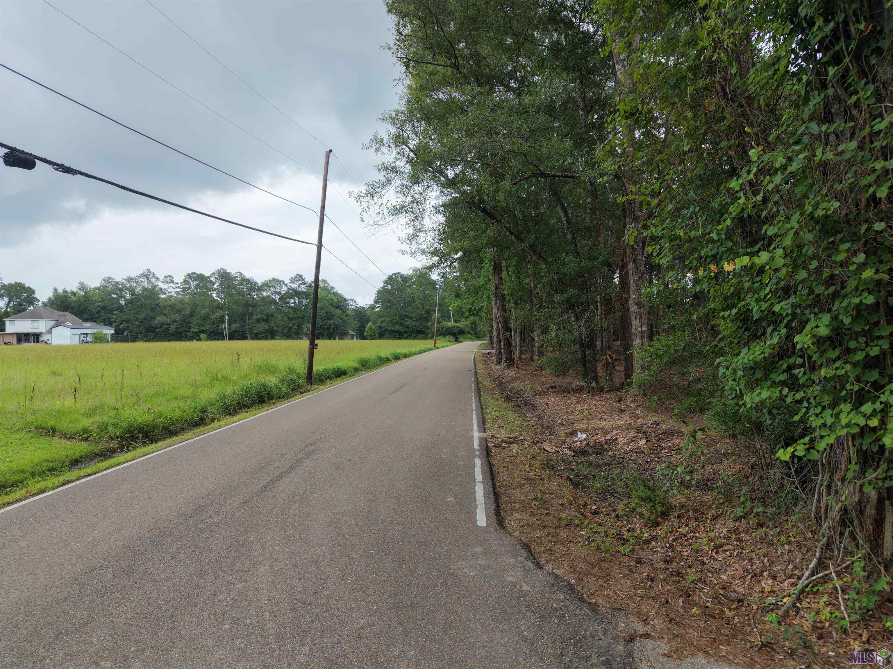 Tract C Esterbrook Road Ponchatoula, LA 70454 - Photo 11 of 13