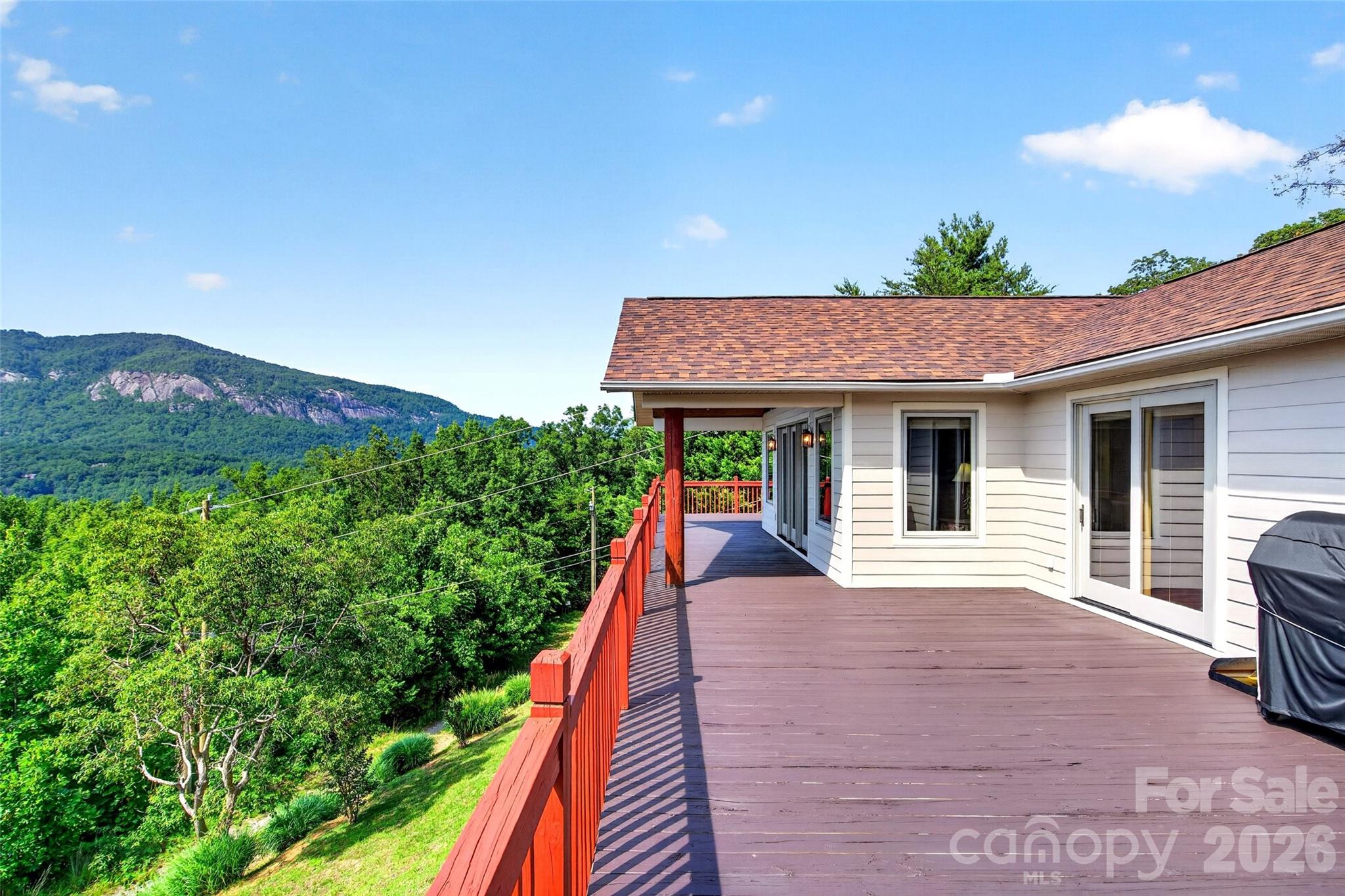 227 Sidney Lanier Road Lake Lure, NC 28746 - Photo 4 of 48