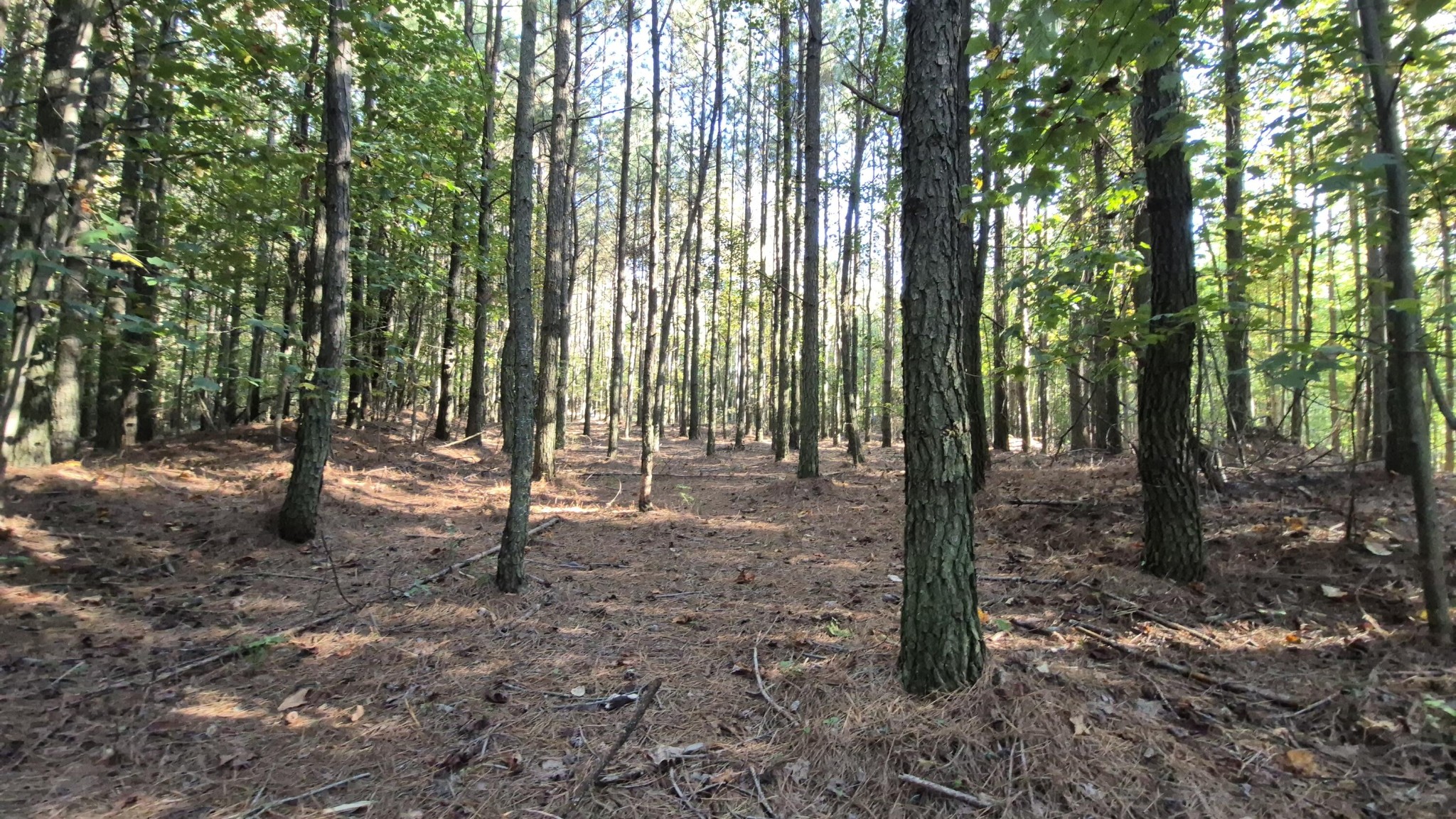 4560 Raulston Falls Drive Jasper, TN 37347 - Photo 22 of 49