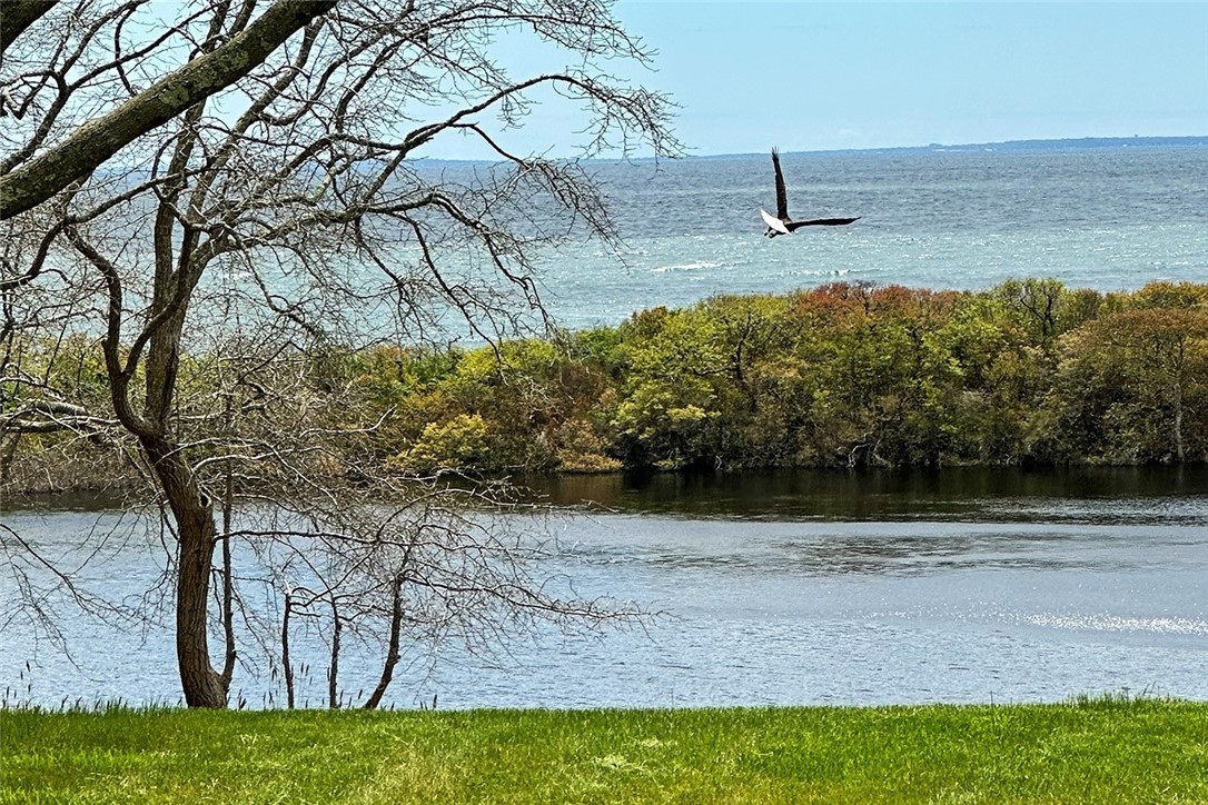 595 Treasure Pond Road Fishers Island, NY 06390 - Photo 50 of 50