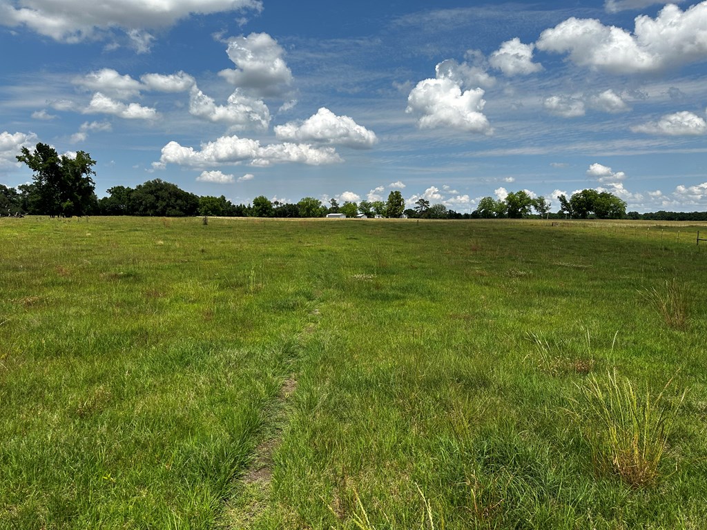 9.53-acres Ramer Loop Cottonwood, AL 36320 - Photo 12 of 14