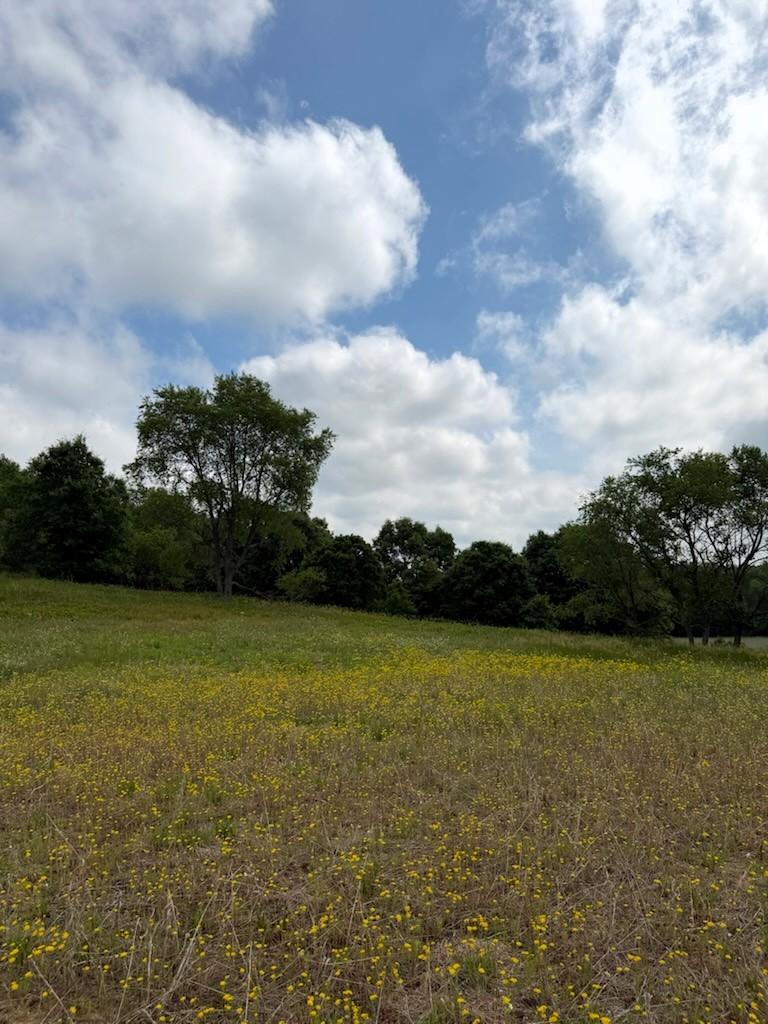 Lot 2 County Road Boyceville, WI 54725 - Photo 11 of 12