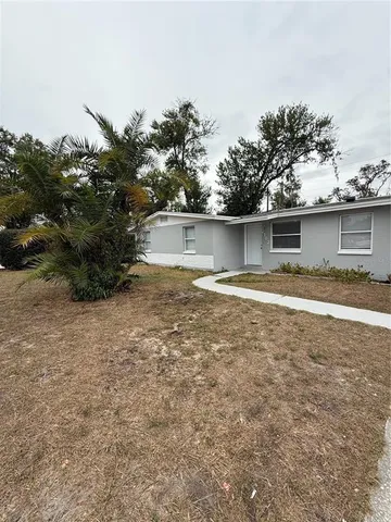 a view of backyard with green space