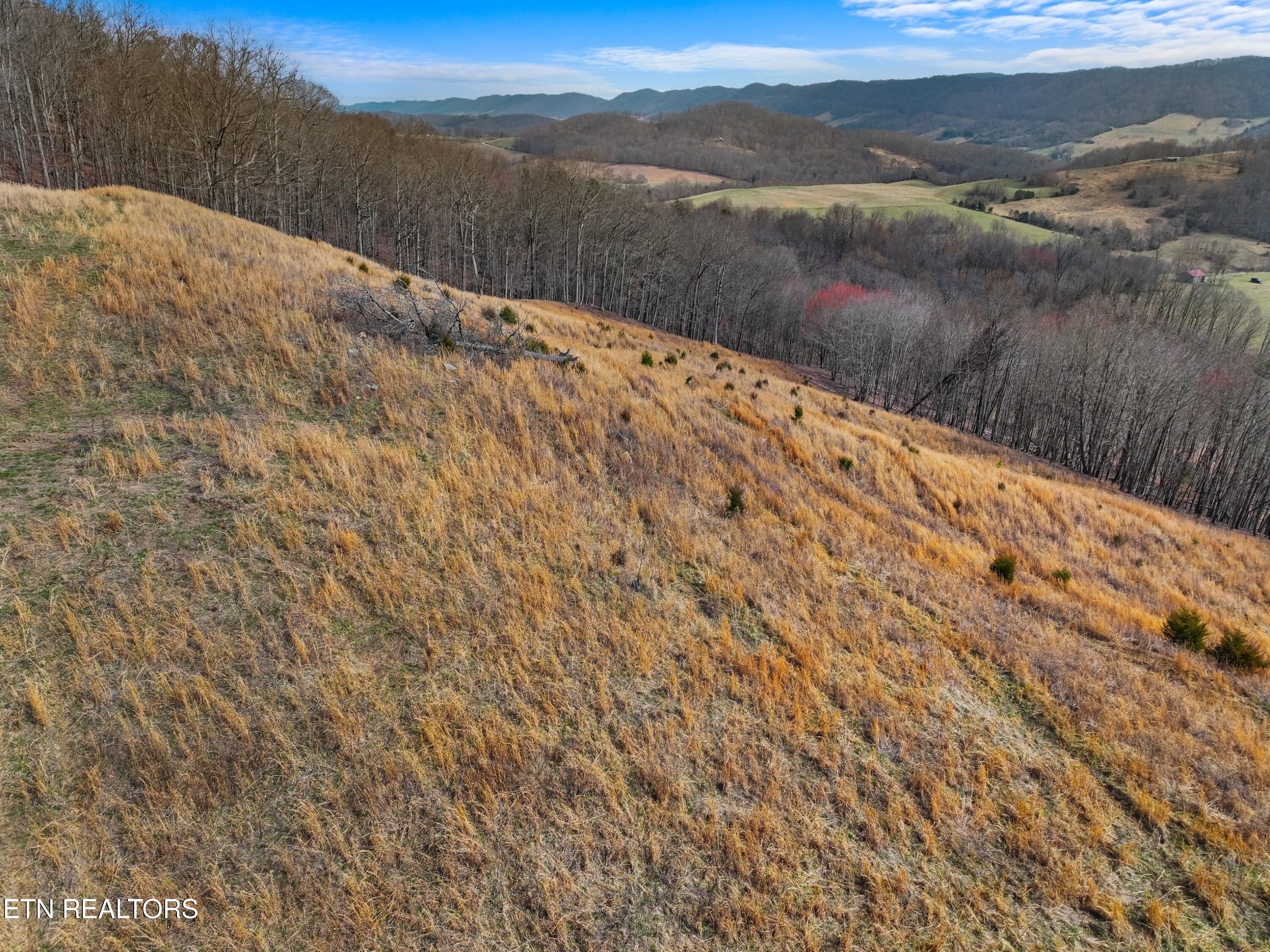 2218 Rebel Hollow Road Tazewell, TN 37879 - Photo 39 of 59 041-2218RebelHollowRoad-Tazewell-TN-3787