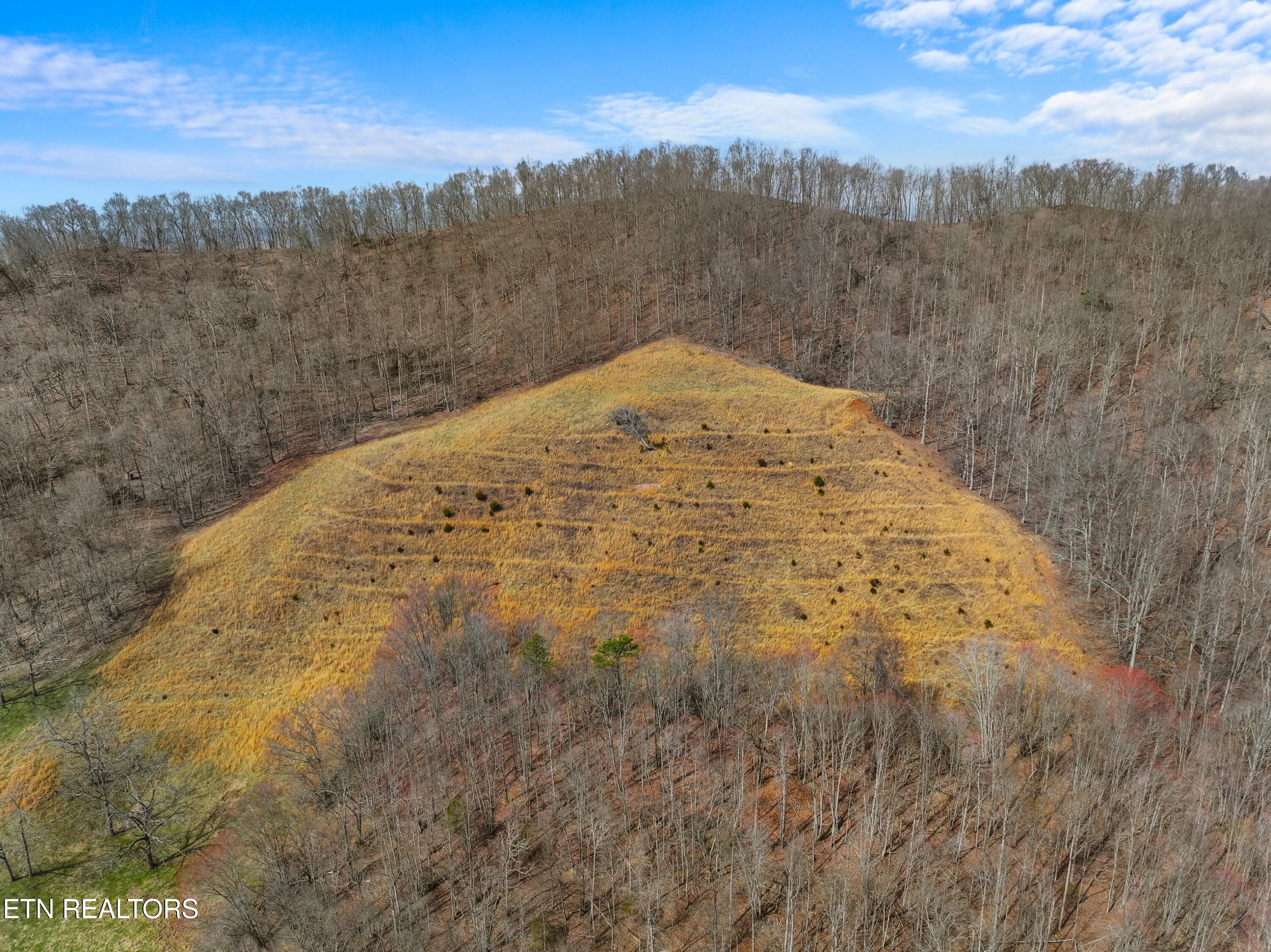 2218 Rebel Hollow Road Tazewell, TN 37879 - Photo 40 of 59 038-2218RebelHollowRoad-Tazewell-TN-3787